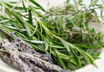 أعشاب طبيعية