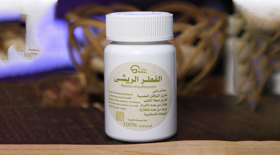 الفطر الريشي