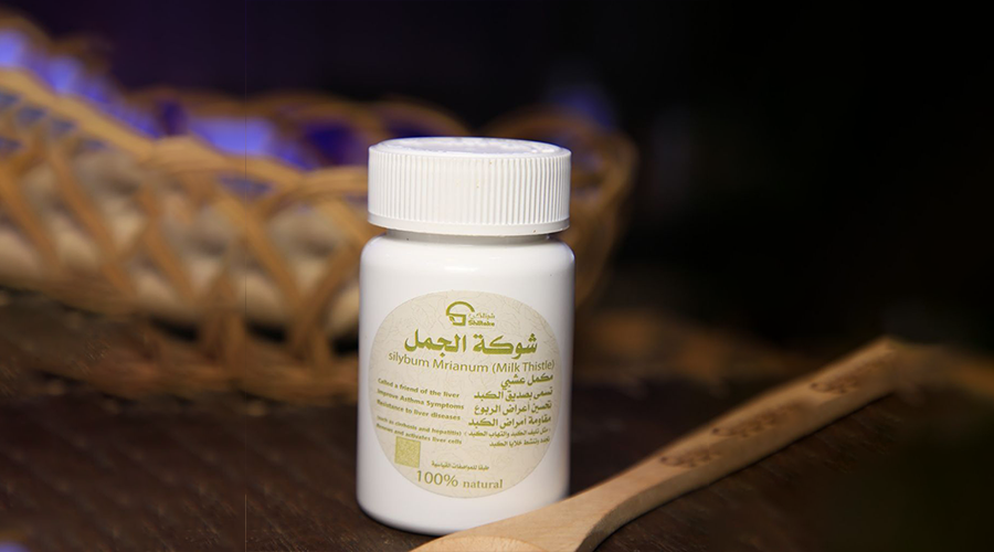 عشبة شوكة الجمل