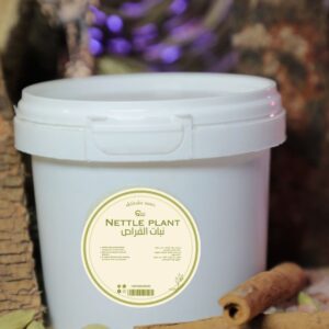 نبات القراص